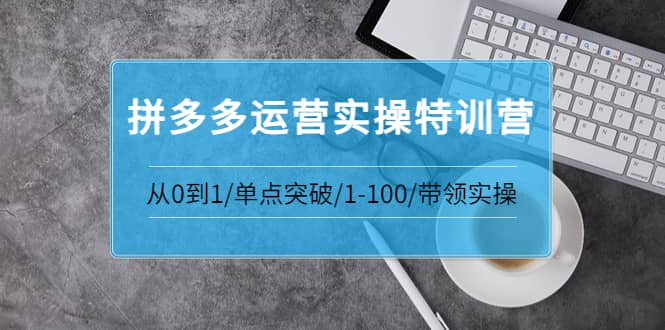 拼多多运营实操特训营：从0到1/单点突破/1-100/带领实操 价值2980元汇创项目库-网创项目资源站-副业项目-创业项目-搞钱项目汇创项目库