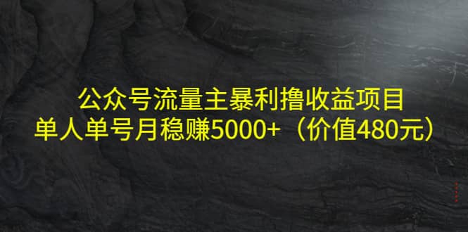 公众号流量主暴利撸收益项目，单人单号月稳赚5000+（价值480元）汇创项目库-网创项目资源站-副业项目-创业项目-搞钱项目汇创项目库