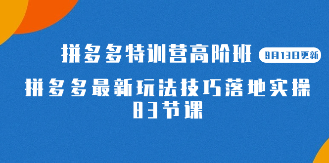 2023拼多多·特训营高阶班【9月13日更新】拼多多最新玩法技巧落地实操-83节汇创项目库-网创项目资源站-副业项目-创业项目-搞钱项目汇创项目库