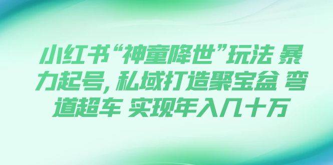 小红书“神童降世”玩法 暴力起号,私域打造聚宝盆 弯道超车 实现年入几十万汇创项目库-网创项目资源站-副业项目-创业项目-搞钱项目汇创项目库