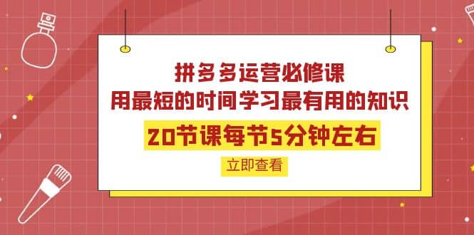 拼多多运营必修课：20节课每节5分钟左右，用最短的时间学习最有用的知识汇创项目库-网创项目资源站-副业项目-创业项目-搞钱项目汇创项目库