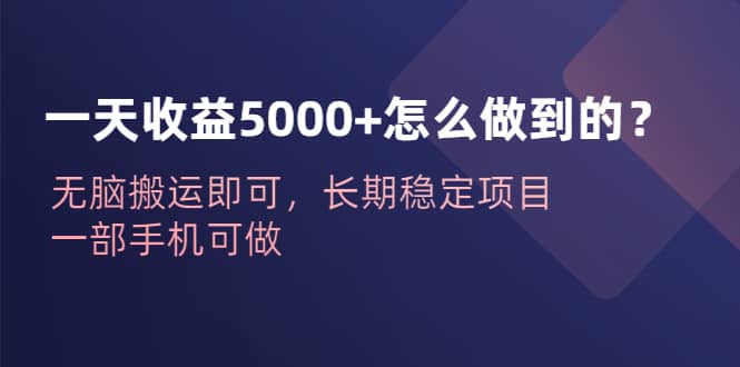 一天收益5000+怎么做到的？无脑搬运即可，长期稳定项目，一部手机可做汇创项目库-网创项目资源站-副业项目-创业项目-搞钱项目汇创项目库