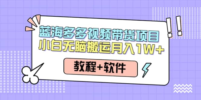 人人都能操作的蓝海多多视频带货项目 小白无脑搬运（教程+软件）汇创项目库-网创项目资源站-副业项目-创业项目-搞钱项目汇创项目库