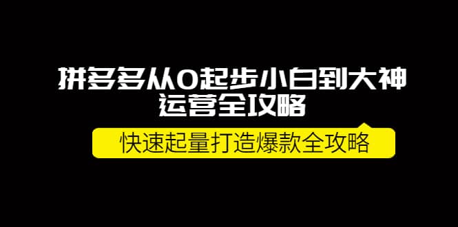 拼多多从0起步小白到大神运营全攻略汇创项目库-网创项目资源站-副业项目-创业项目-搞钱项目汇创项目库