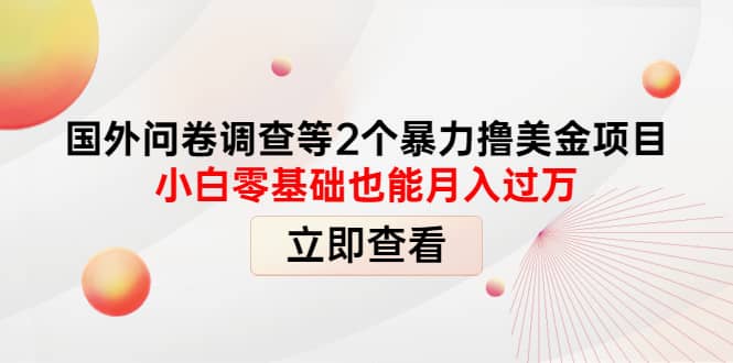 国外问卷调查等2个暴力撸美元项目，小白零基础也能月入过万汇创项目库-网创项目资源站-副业项目-创业项目-搞钱项目汇创项目库