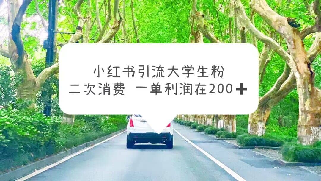 小红书引流大学生粉，变现项目，一单利润在200+（教程+资源）汇创项目库-网创项目资源站-副业项目-创业项目-搞钱项目汇创项目库