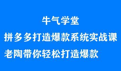 牛气学堂拼多多打造爆款系统实战课，老陶带你轻松打造爆款汇创项目库-网创项目资源站-副业项目-创业项目-搞钱项目汇创项目库