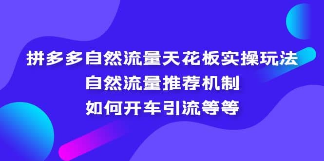 拼多多自然流量天花板实操玩法：自然流量推荐机制，如何开车引流等等汇创项目库-网创项目资源站-副业项目-创业项目-搞钱项目汇创项目库