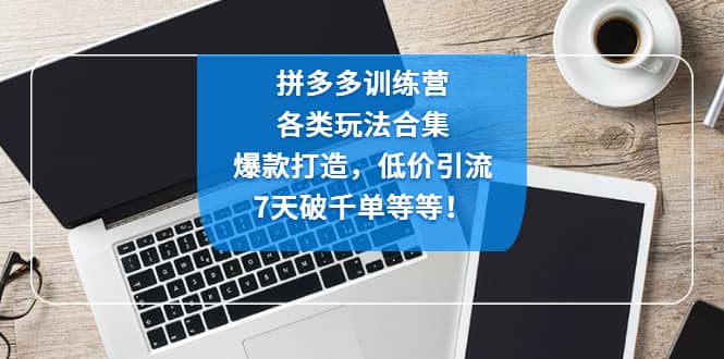 拼多多训练营：各玩法合集，爆款打造，低价引流，7天破千单等等汇创项目库-网创项目资源站-副业项目-创业项目-搞钱项目汇创项目库