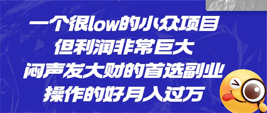 一个很low的小众项目，但利润非常巨大，闷声发大财的首选副业，月入过万汇创项目库-网创项目资源站-副业项目-创业项目-搞钱项目汇创项目库