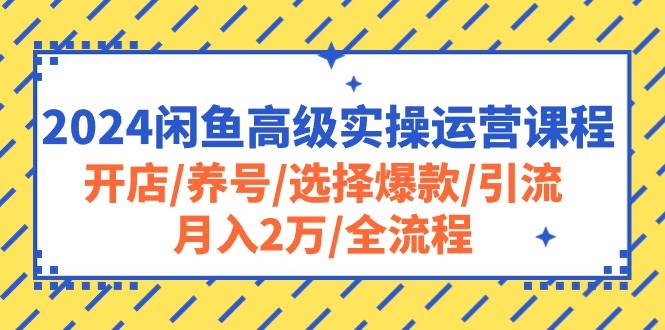 2024闲鱼高级实操运营课程：开店/养号/选择爆款/引流/月入2万/全流程汇创项目库-网创项目资源站-副业项目-创业项目-搞钱项目汇创项目库