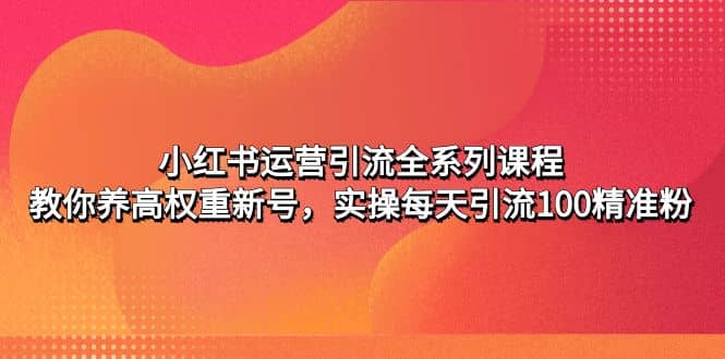 小红书运营引流全系列课程：教你养高权重新号汇创项目库-网创项目资源站-副业项目-创业项目-搞钱项目汇创项目库