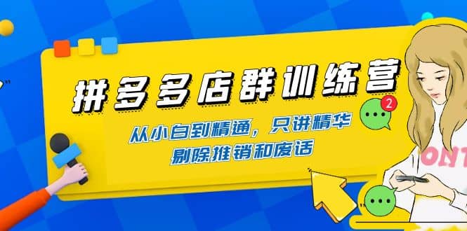 拼多多店群训练营：从小白到精通，只讲精华，剔除推销和废话汇创项目库-网创项目资源站-副业项目-创业项目-搞钱项目汇创项目库