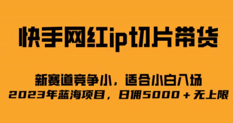 快手网红ip切片新赛道，竞争小事，适合小白 2023蓝海项目汇创项目库-网创项目资源站-副业项目-创业项目-搞钱项目汇创项目库