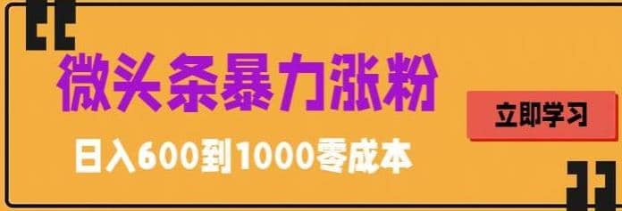 微头条暴力涨粉技巧搬运文案就能涨几万粉丝，简单0成本，日赚600汇创项目库-网创项目资源站-副业项目-创业项目-搞钱项目汇创项目库