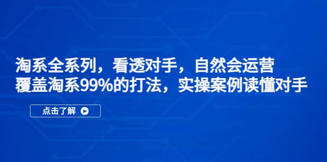 淘系全系列，看透对手，自然会运营，覆盖淘系99%·打法，实操案例读懂对手汇创项目库-网创项目资源站-副业项目-创业项目-搞钱项目汇创项目库