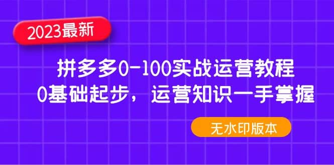 2023拼多多0-100实战运营教程，0基础起步，运营知识一手掌握（无水印）汇创项目库-网创项目资源站-副业项目-创业项目-搞钱项目汇创项目库