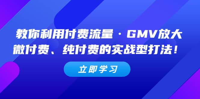 教你利用付费流量·GMV放大，微付费、纯付费的实战型打法汇创项目库-网创项目资源站-副业项目-创业项目-搞钱项目汇创项目库