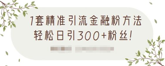 1套精准引流金融粉方法，轻松日引300+粉丝【视频课程】汇创项目库-网创项目资源站-副业项目-创业项目-搞钱项目汇创项目库