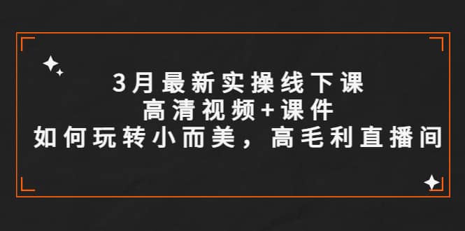 3月最新实操线下课高清视频+课件，如何玩转小而美，高毛利直播间汇创项目库-网创项目资源站-副业项目-创业项目-搞钱项目汇创项目库