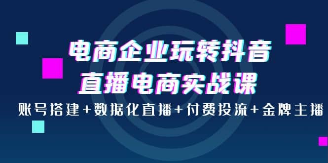 电商企业玩转抖音直播电商实战课：账号搭建+数据化直播+付费投流+金牌主播汇创项目库-网创项目资源站-副业项目-创业项目-搞钱项目汇创项目库