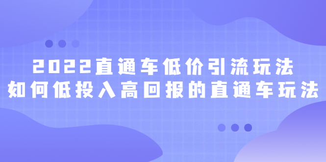 2022直通车低价引流玩法，教大家如何低投入高回报的直通车玩法汇创项目库-网创项目资源站-副业项目-创业项目-搞钱项目汇创项目库