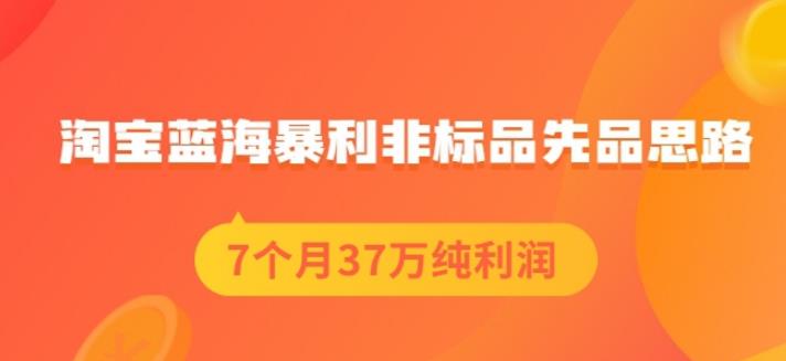 盗坤淘宝蓝海暴利非标品先品思路，7个月37万纯利润，压箱干货分享！【付费文章】汇创项目库-网创项目资源站-副业项目-创业项目-搞钱项目汇创项目库