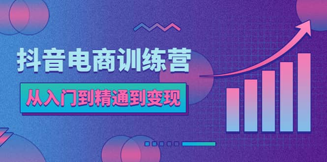 抖音电商训练营：从入门到精通，从账号定位到流量变现，抖店运营实操汇创项目库-网创项目资源站-副业项目-创业项目-搞钱项目汇创项目库