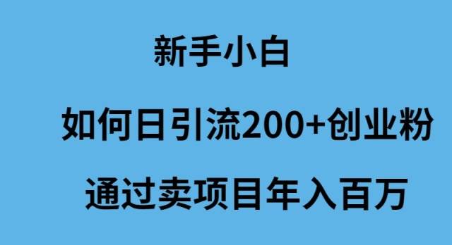 新手小白如何日引流200+创业粉通过卖项目年入百万汇创项目库-网创项目资源站-副业项目-创业项目-搞钱项目汇创项目库