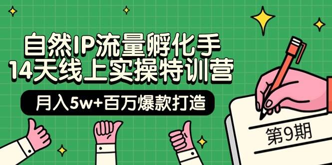 自然IP流量孵化手 14天线上实操特训营【第9期】月入5w+百万爆款打造 (74节)汇创项目库-网创项目资源站-副业项目-创业项目-搞钱项目汇创项目库