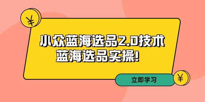 拼多多培训第33期：小众蓝海选品2.0技术-蓝海选品实操！汇创项目库-网创项目资源站-副业项目-创业项目-搞钱项目汇创项目库