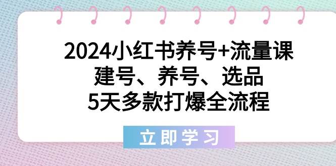 2024小红书养号+流量课：建号、养号、选品，5天多款打爆全流程汇创项目库-网创项目资源站-副业项目-创业项目-搞钱项目汇创项目库