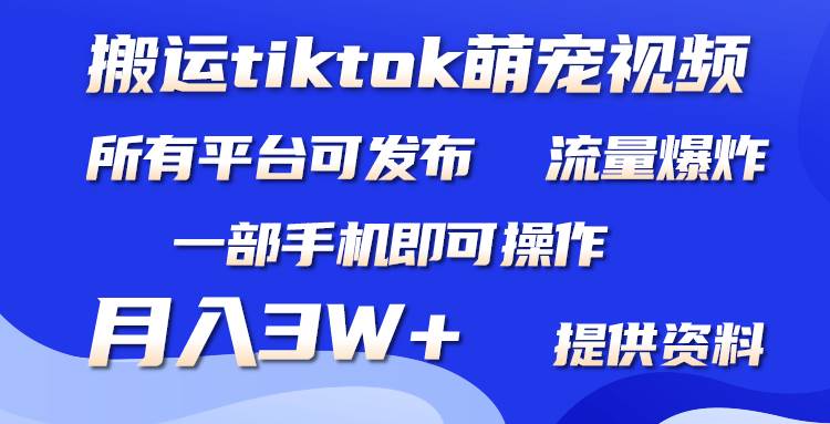 搬运Tiktok萌宠类视频，一部手机即可。所有短视频平台均可操作，月入3W+汇创项目库-网创项目资源站-副业项目-创业项目-搞钱项目汇创项目库