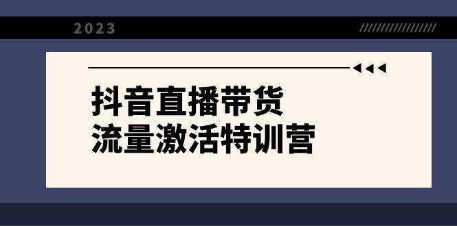 抖音直播带货-流量激活特训营，入行新手小白主播必学（21节课+资料）汇创项目库-网创项目资源站-副业项目-创业项目-搞钱项目汇创项目库