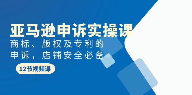 亚马逊-申诉实战课，商标、版权及专利的申诉，店铺安全必备汇创项目库-网创项目资源站-副业项目-创业项目-搞钱项目汇创项目库