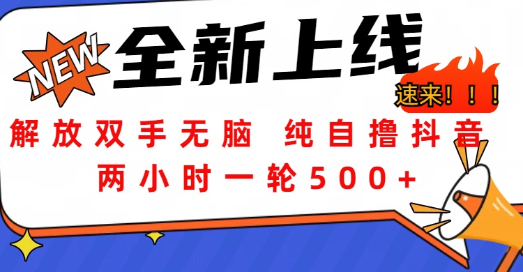 解放双手无脑 纯自撸抖音 两小时一轮500+汇创项目库-网创项目资源站-副业项目-创业项目-搞钱项目汇创项目库